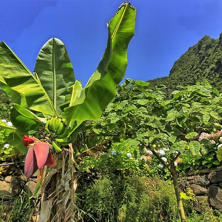 Chale Jardim De Cima