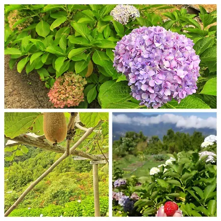 Chale Jardim De Cima Domek alpejski *