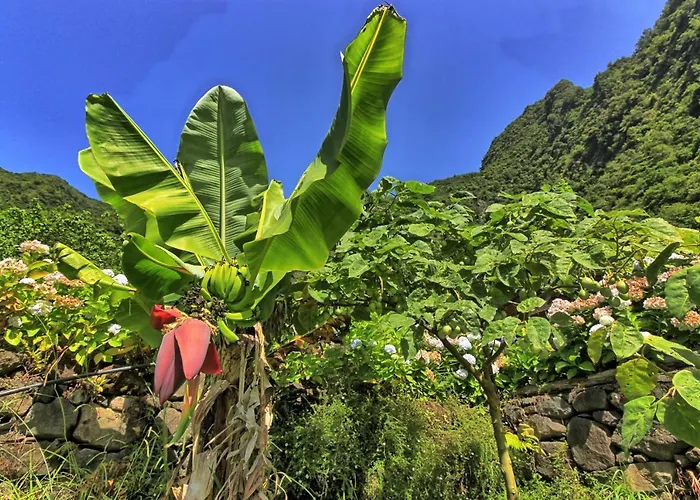 Chale Jardim De Cima