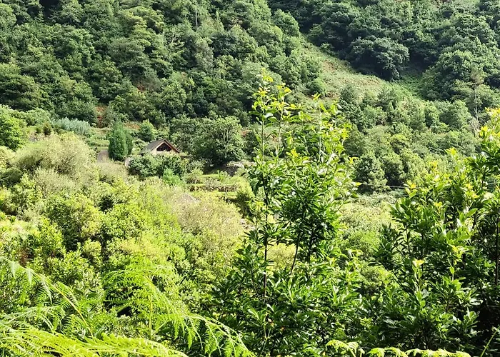 Chalet Chale Jardim De Cima