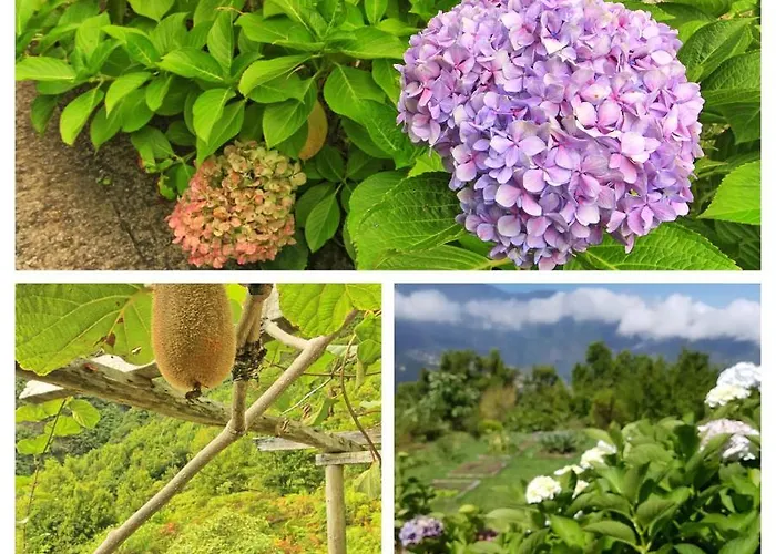 Chale Jardim De Cima Horská chata *